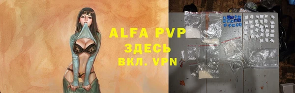 эйфоретик Вуктыл