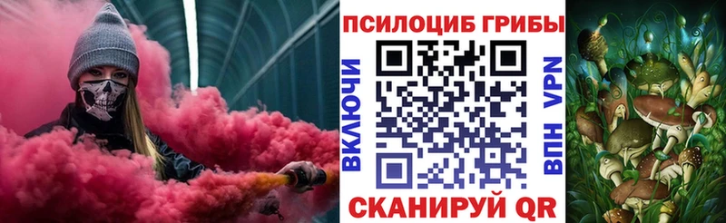 где найти наркотики  omg зеркало  Псилоцибиновые грибы MAGIC MUSHROOMS  Струнино 